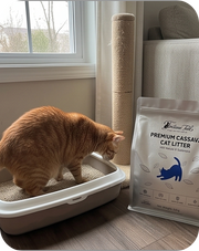 Premium Cassava Cat Litter