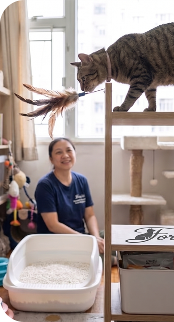 A person caring for cats outdoors